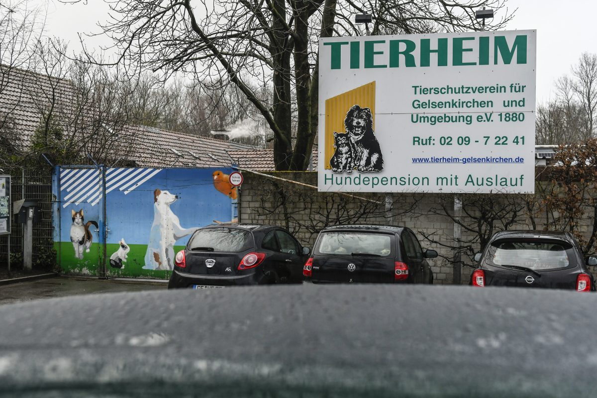 Tierheim Gelsenkirchen