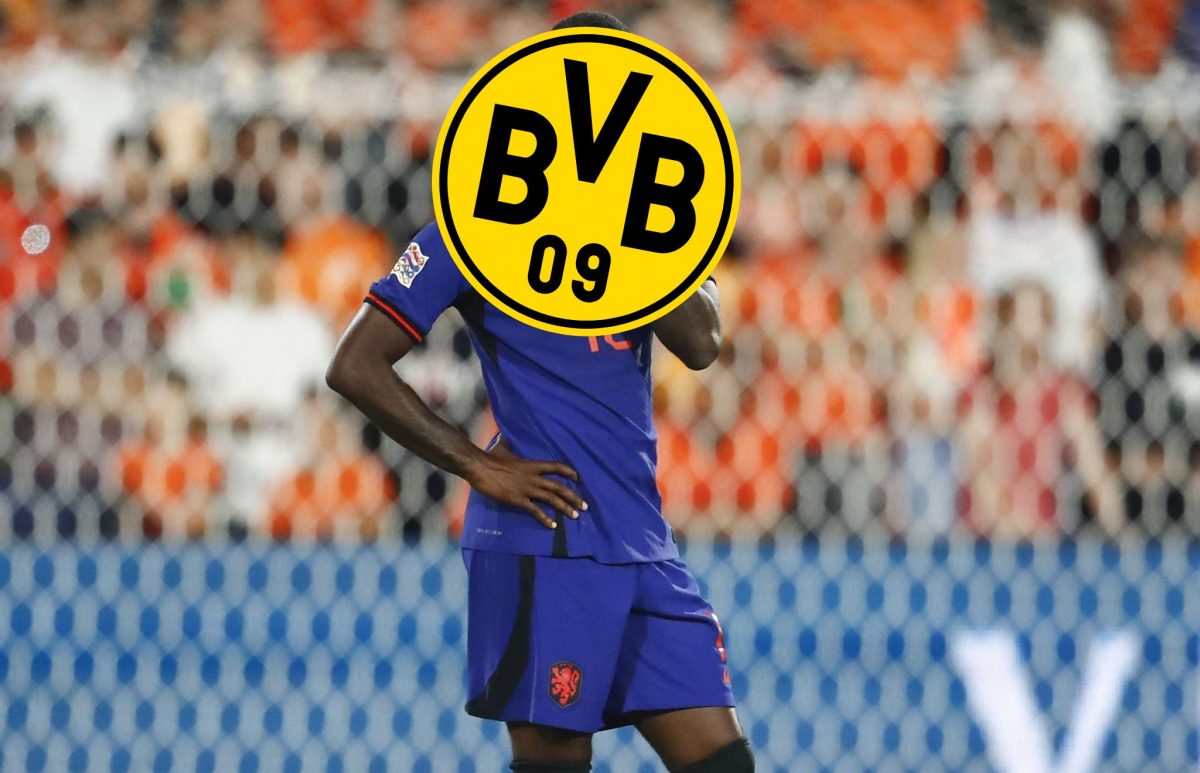 Borussia Dortmund: Karriere-Absturz gestoppt? Ex-BVB-Flop nimmt neuen ...