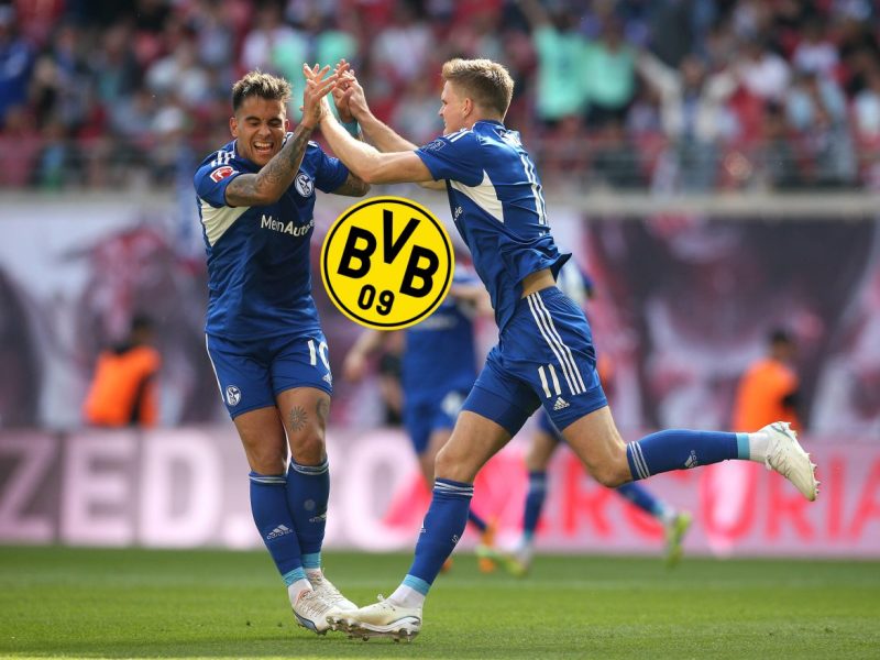 FC Schalke 04 zittert – sorgt ausgerechnet der BVB für einen Star-Verlust?
