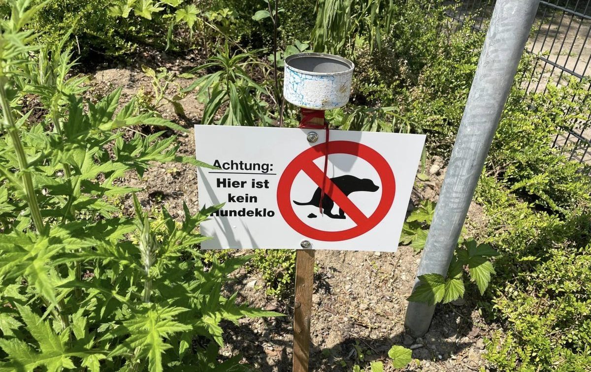"Das ist kein Hunde-Klo"-Schild auf Grünstreifen