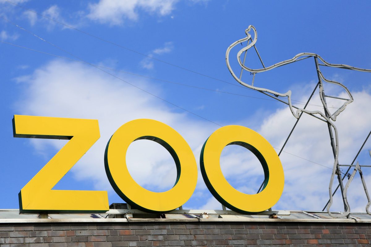 Zoos in NRW mit schlechten Neuigkeiten – Besucher enttäuscht! „Das war’s“