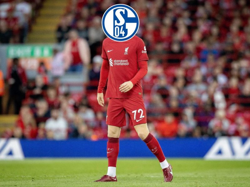 FC Schalke 04 sucht Innenverteidiger! Das ist der Wunschkandidat von Reis