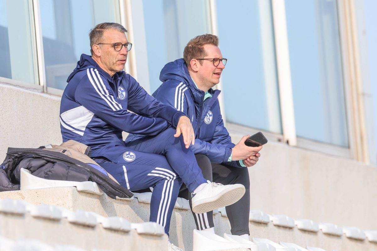 Der FC Schalke 04 sucht nach neuen Spielern.