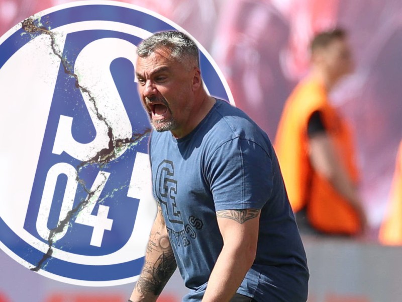Beim FC Schalke 04 spricht Reis eine deutliche Warnung aus – „Muss die Basis werden“