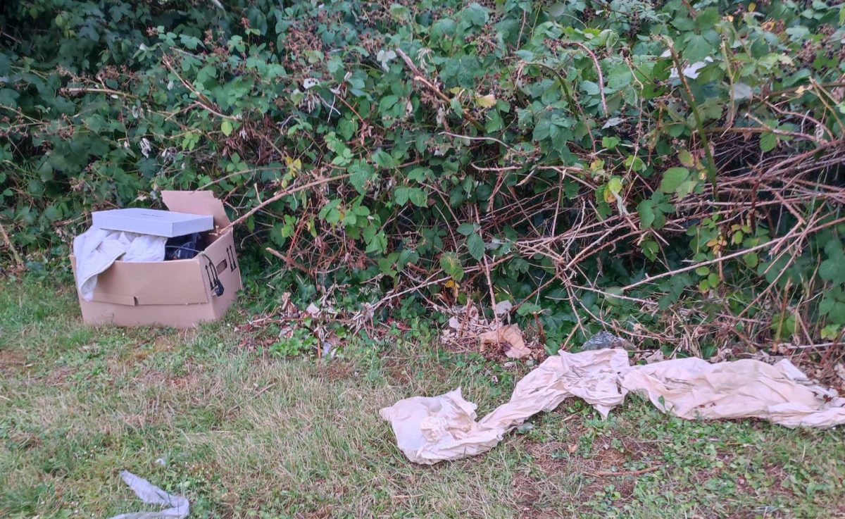 Mülheim: Anwohnerin teilt Bild von illegalen Müll in Parkanlage. Die Stadt trifft eine Teilschuld.