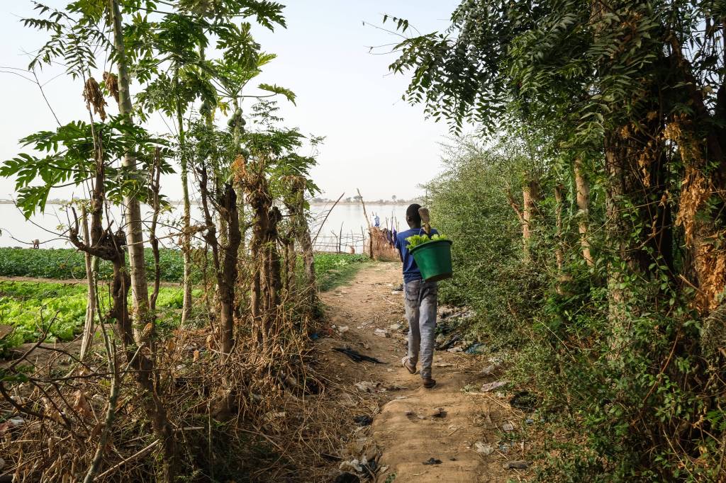 Ein Mann trägt einen Eimer über einen unbefestigten Weg am Ufer des Flusses Niger.