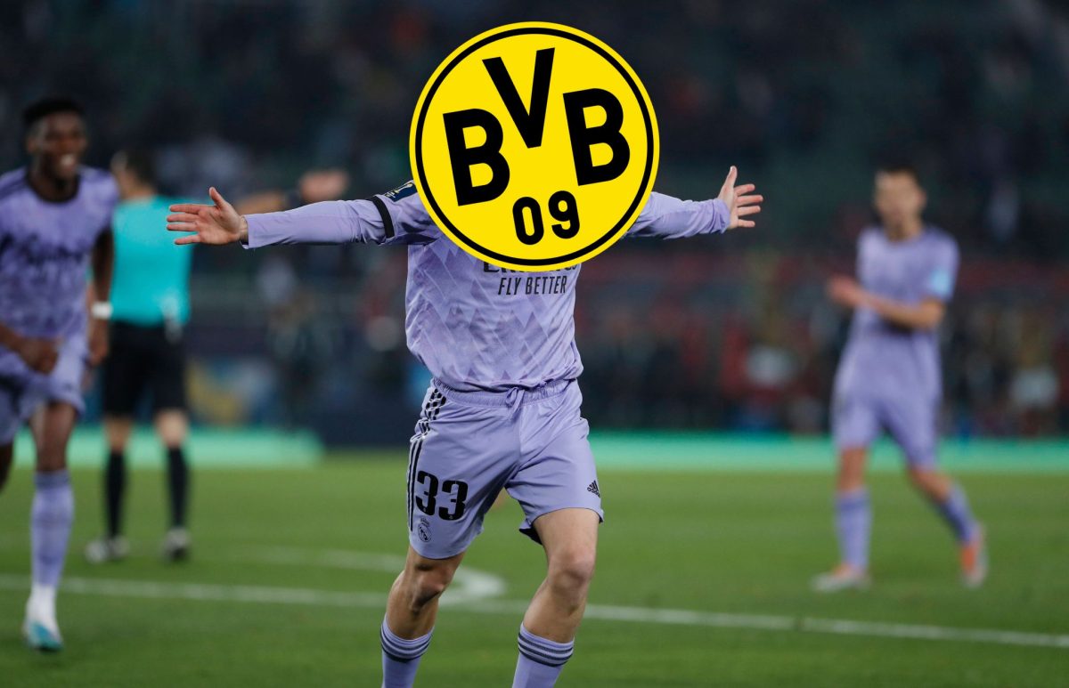 BVB (1)