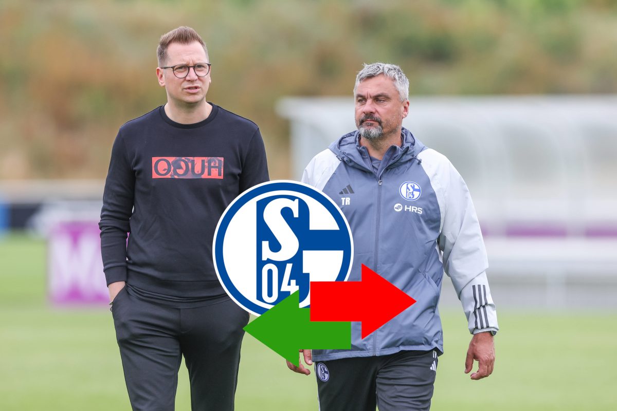 FC Schalke 04 Wechsel News Transfer