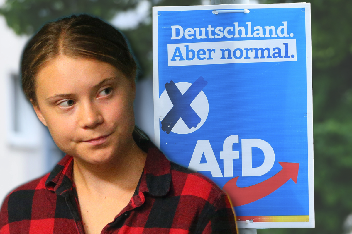 Klimawandel AfD macht sich über Greta lustig seit Sonntag lacht