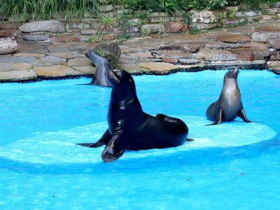 Dortmund Zoo: Änderung für Besucher