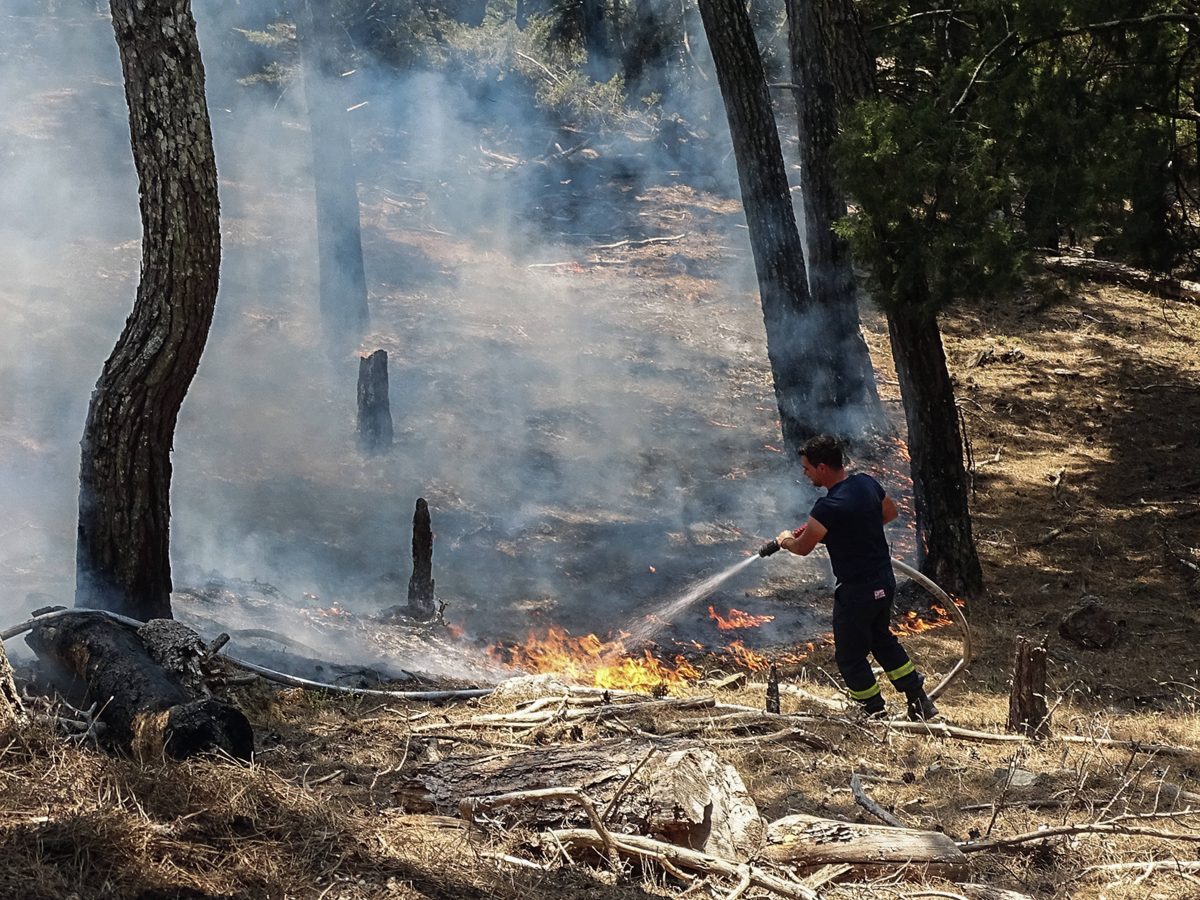 Auch ein Urlauber-Paar aus NRW ist von den Waldbränden auf Rhodos betroffen. Sie schildern die "chaotische" Evakuierung auf der griechischen Ferieninsel.