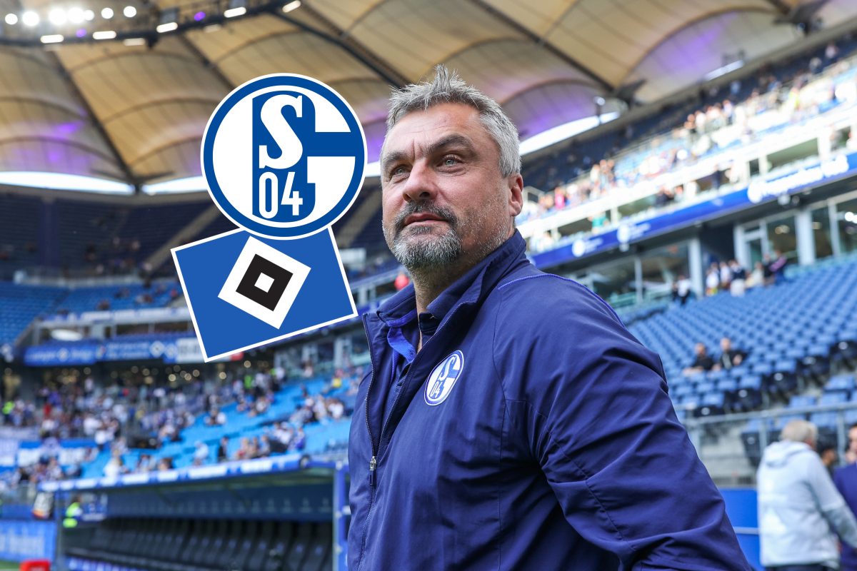 Bei Hamburger SV - FC Schalke 04 sorgt Thomas Reis für einen Hammer.
