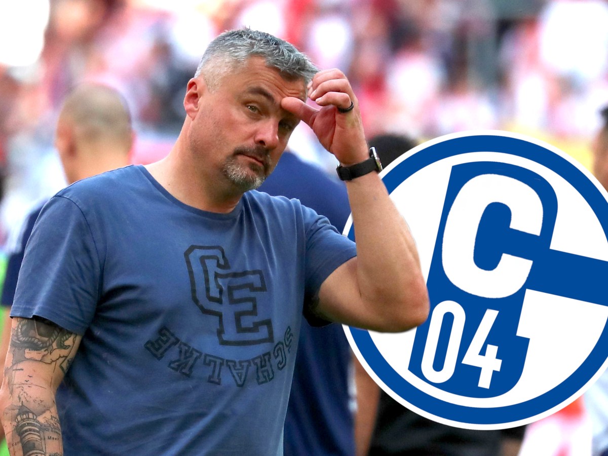 schalke-kapitaen