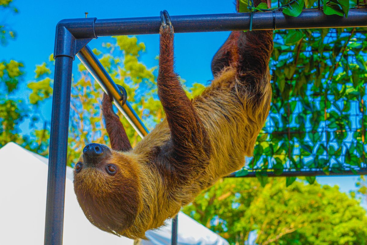 Zoo in NRW