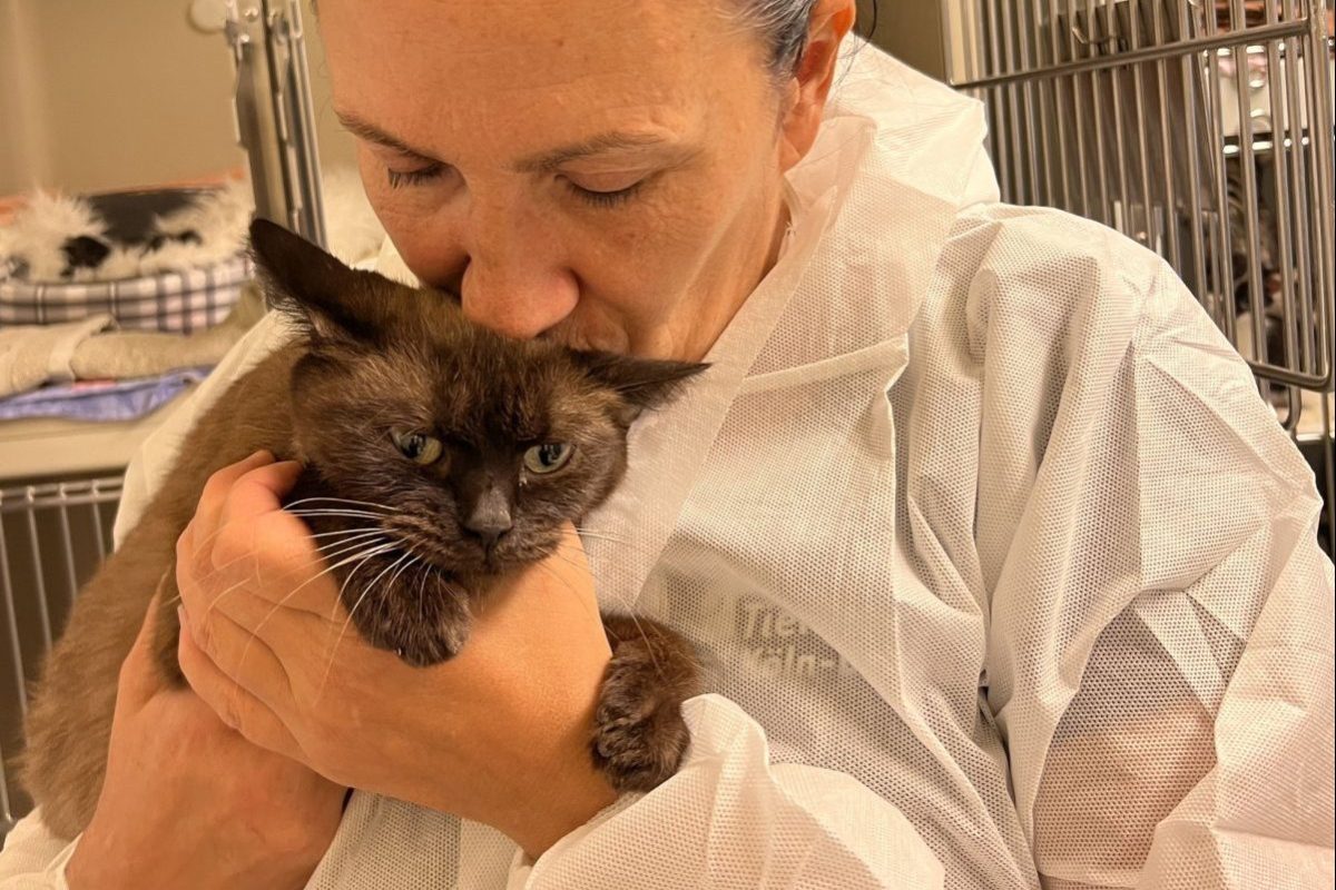 Tierheimmitarbeiterin küsst Katze