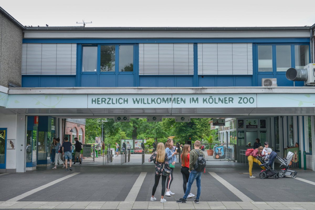 Vor dem Haupteingang des Kölner Zoos kam es zu Protesten von der Tierschutzorganisation Peta.