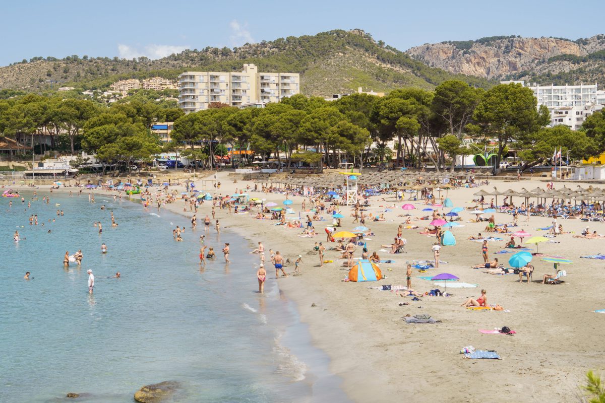 Urlaub auf Mallorca: Aufregung am Strand – Touristen trauen ihren Augen kaum
