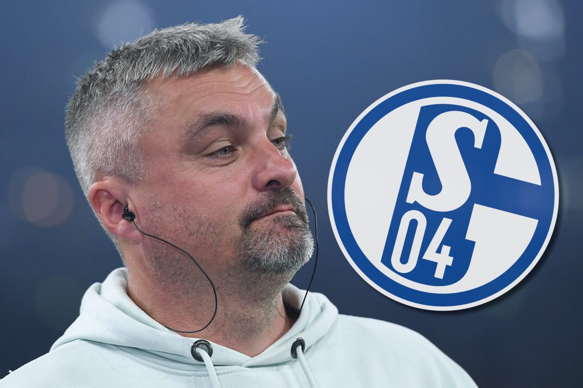 Sorgt Thomas Reis beim FC Schalke 04 für einen Hammer?