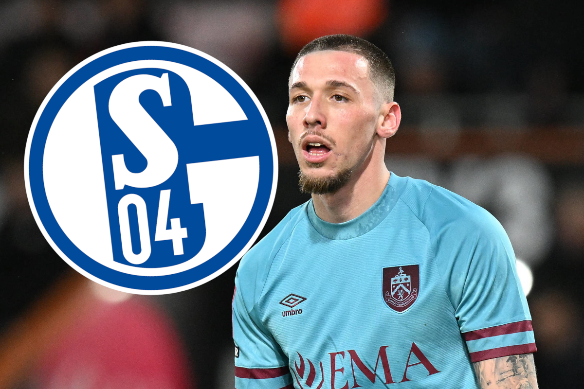 FC Schalke 04: Churlinov? Hechelmann macht klare Transfer-Ansage
