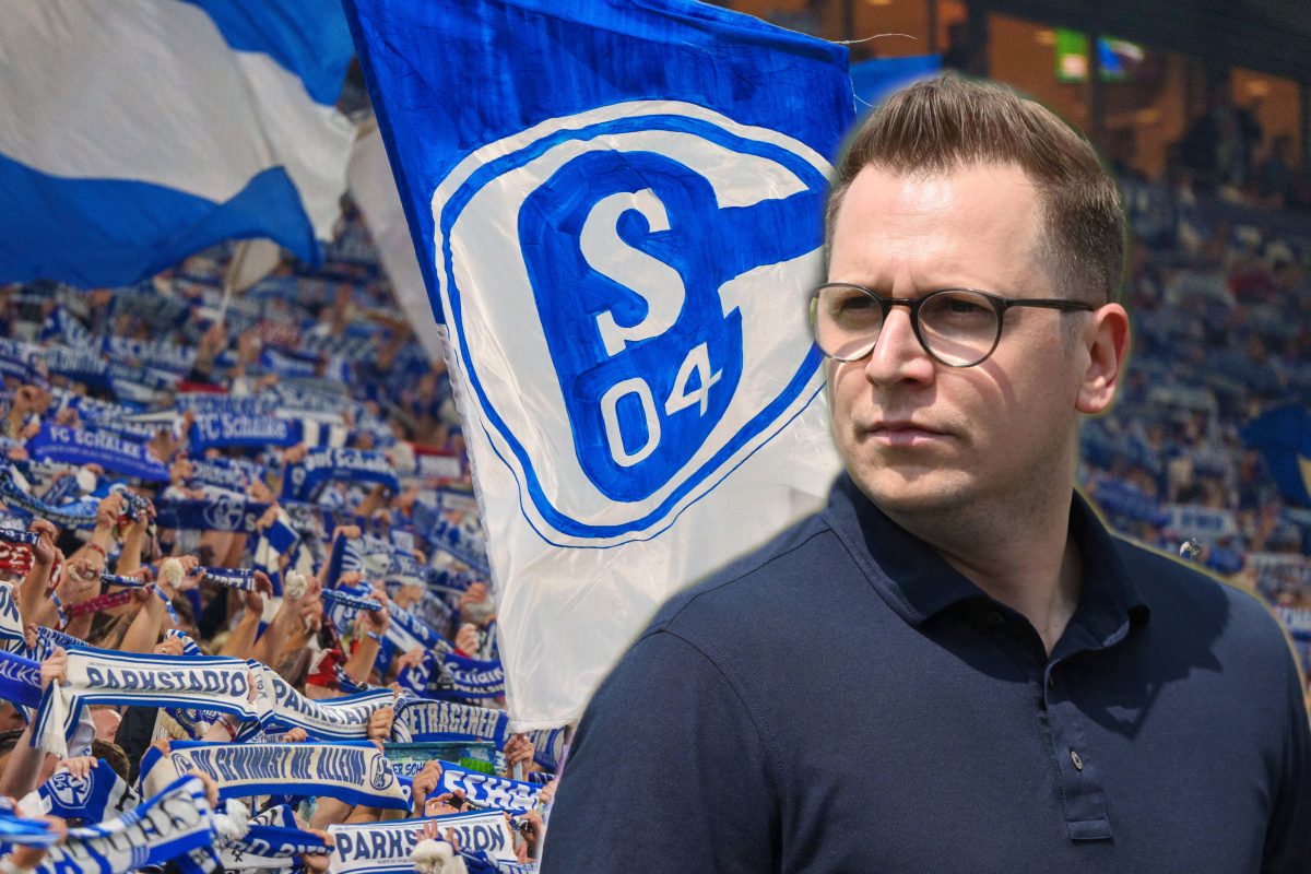 Beim FC Schalke 04 sucht Andre Hechelmann nach Verstärkung.