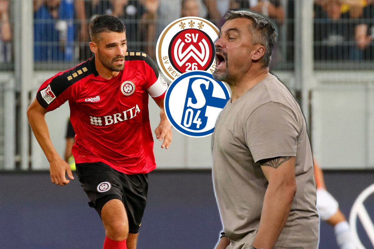 Showdown bei Wehen Wiesbaden: Der FC Schalke 04 ist zu Gast.