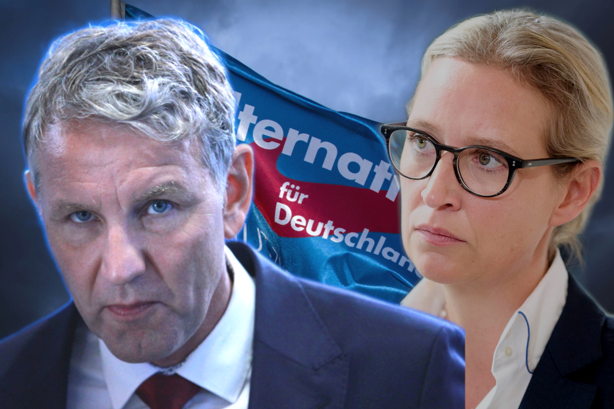 AfD könnte 2024 abstürzen!