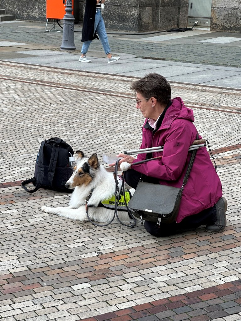 Hund in NRW