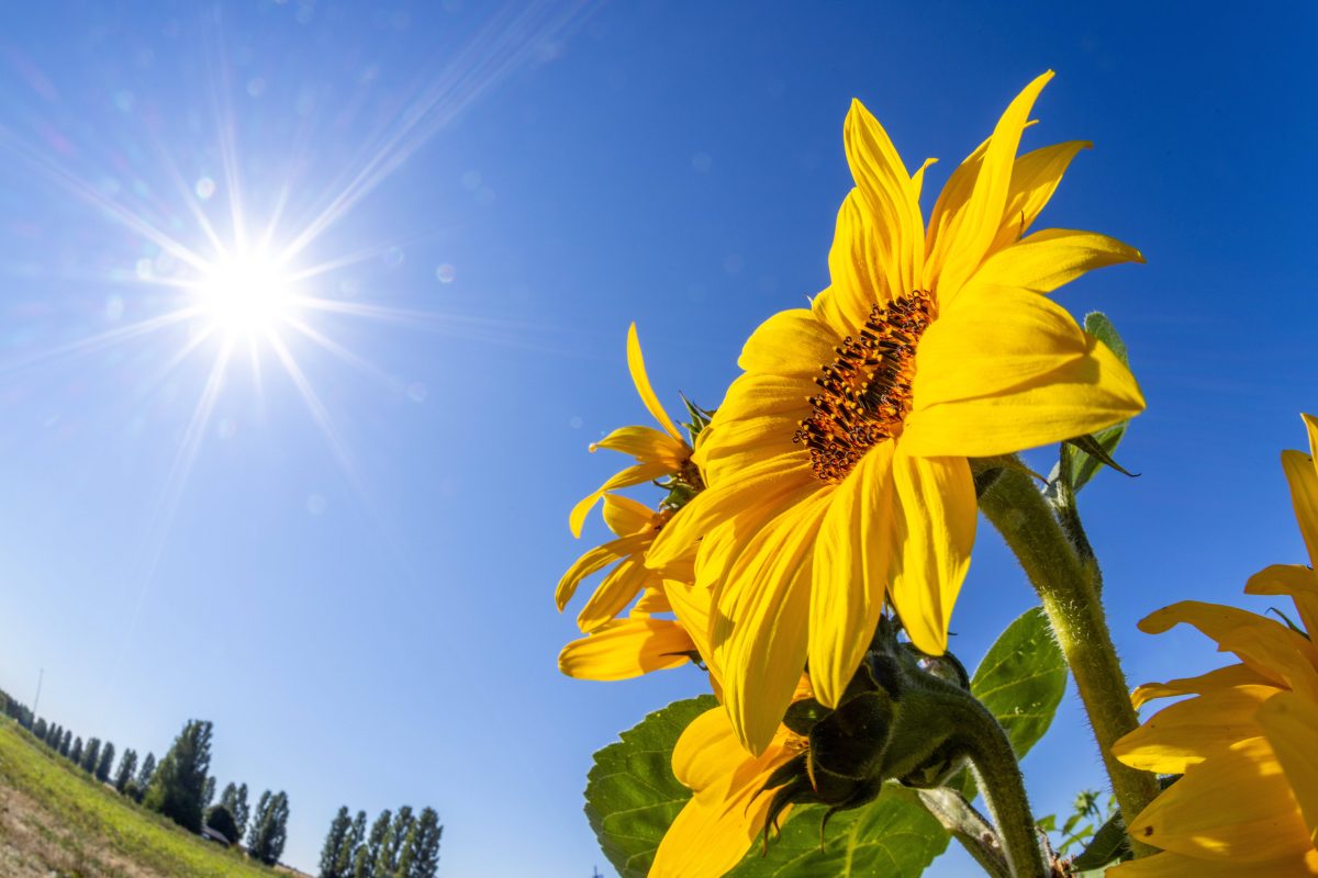 Wetter in NRW: Experte prognostiziert krassen Umschwung – „Schon ne Hausnummer“