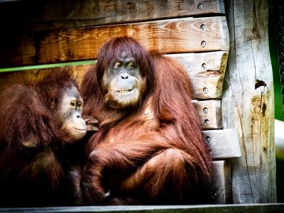 Zoo Dortmund