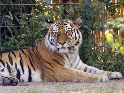 Zoo in NRW
