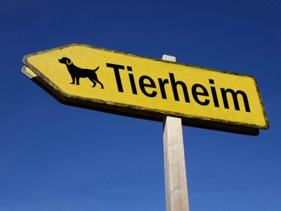 Tierheim Bochum: Brief und unmögliche Sachspende
