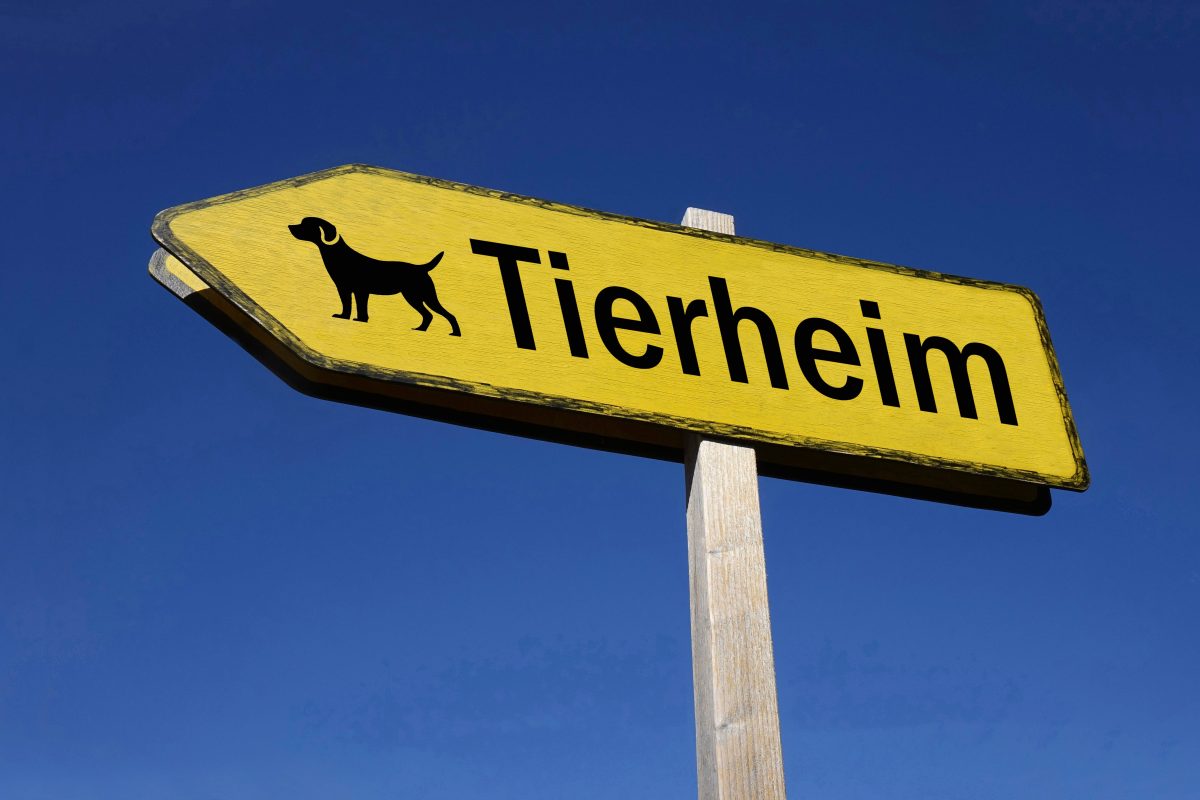 Tierheim Bochum: Brief und unmögliche Sachspende