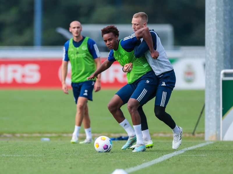 FC Schalke 04 macht es offiziell: Jubelsprünge bei den Fans