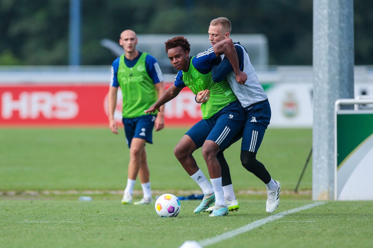 Einige Trainings können die Fans des FC Schalke 04 bald live verfolgen.