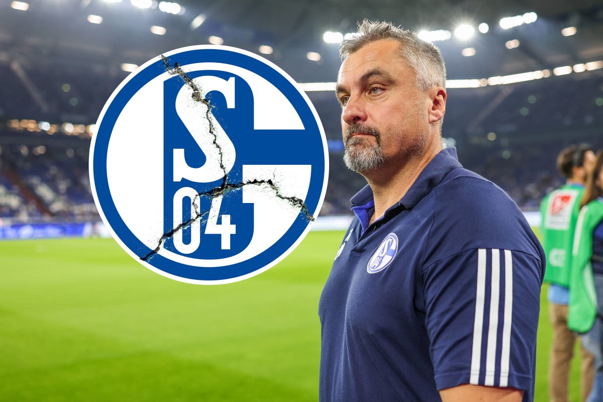 Thomas Reis muss beim FC Schalke 04 gehen.