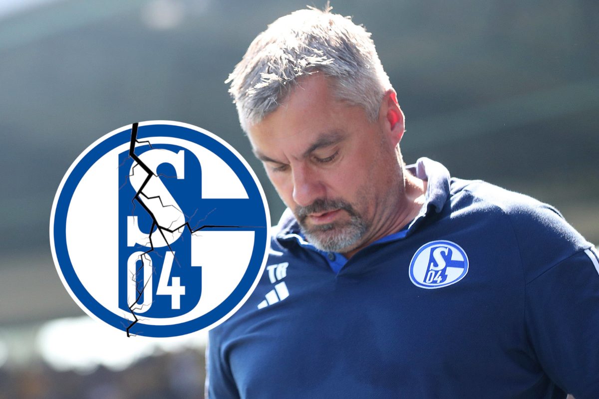 Das Aus von Thomas Reis hat beim FC Schalke 04 große Auswirkungen.