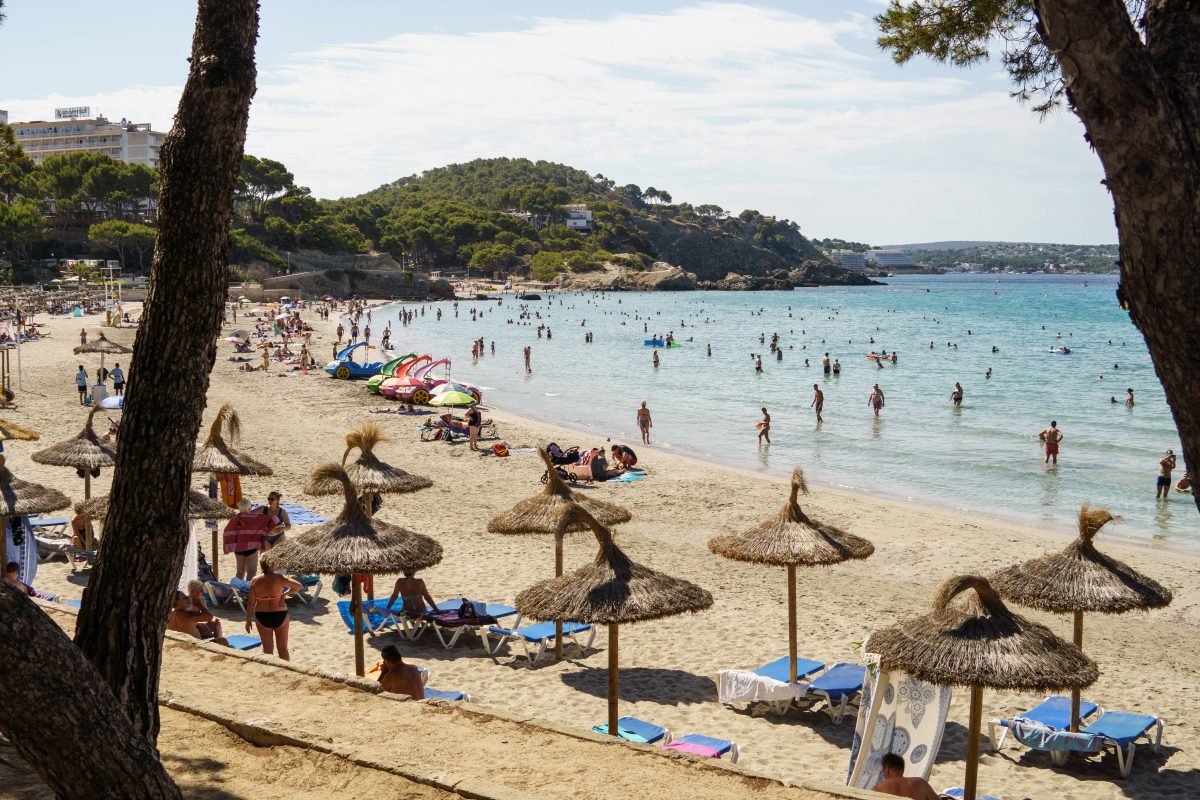 Urlaub auf Mallorca: Fiese Plage ärgert Touristen – und es wird immer schlimmer