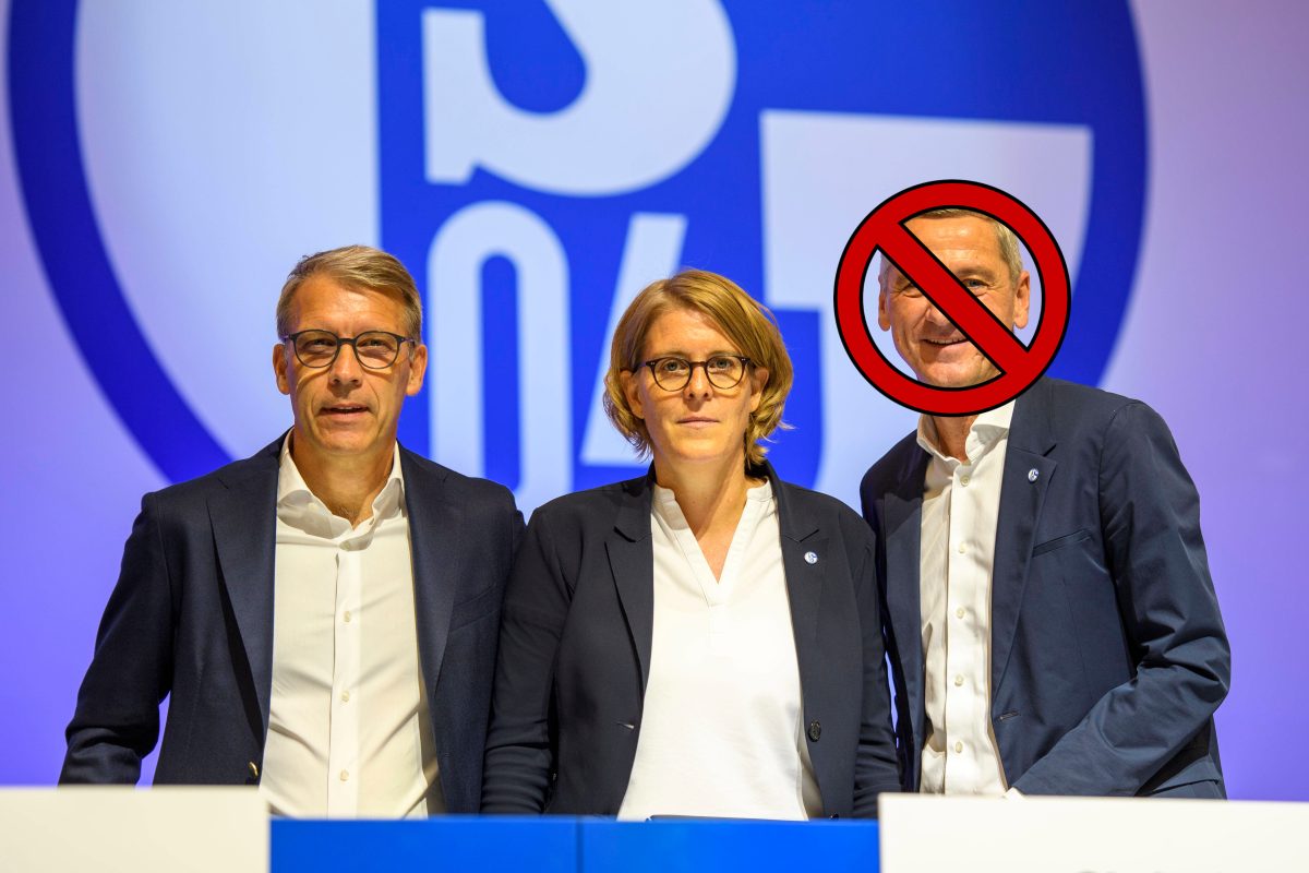 Der FC Schalke 04 hat den Nachfolger für Bernd Schröder gefunden.