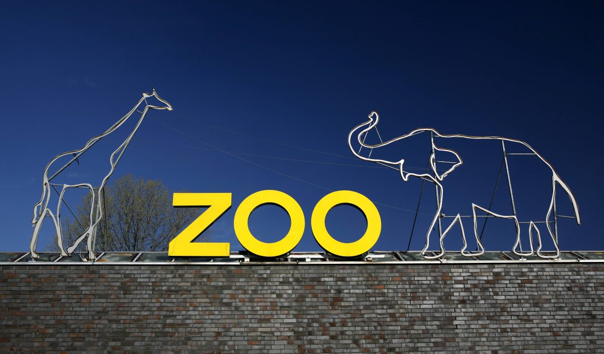 Der Zoo Köln sorgt mit einem Event für Aufregung.