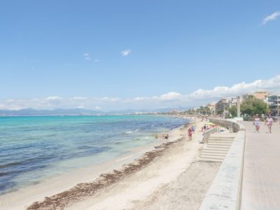 Urlaub auf Mallorca: Reisende müssen mit Plage rechnen.