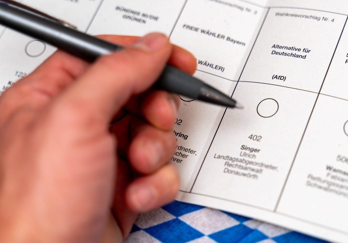 Landtagswahl: Das denken AfD-Wähler in Bayern.