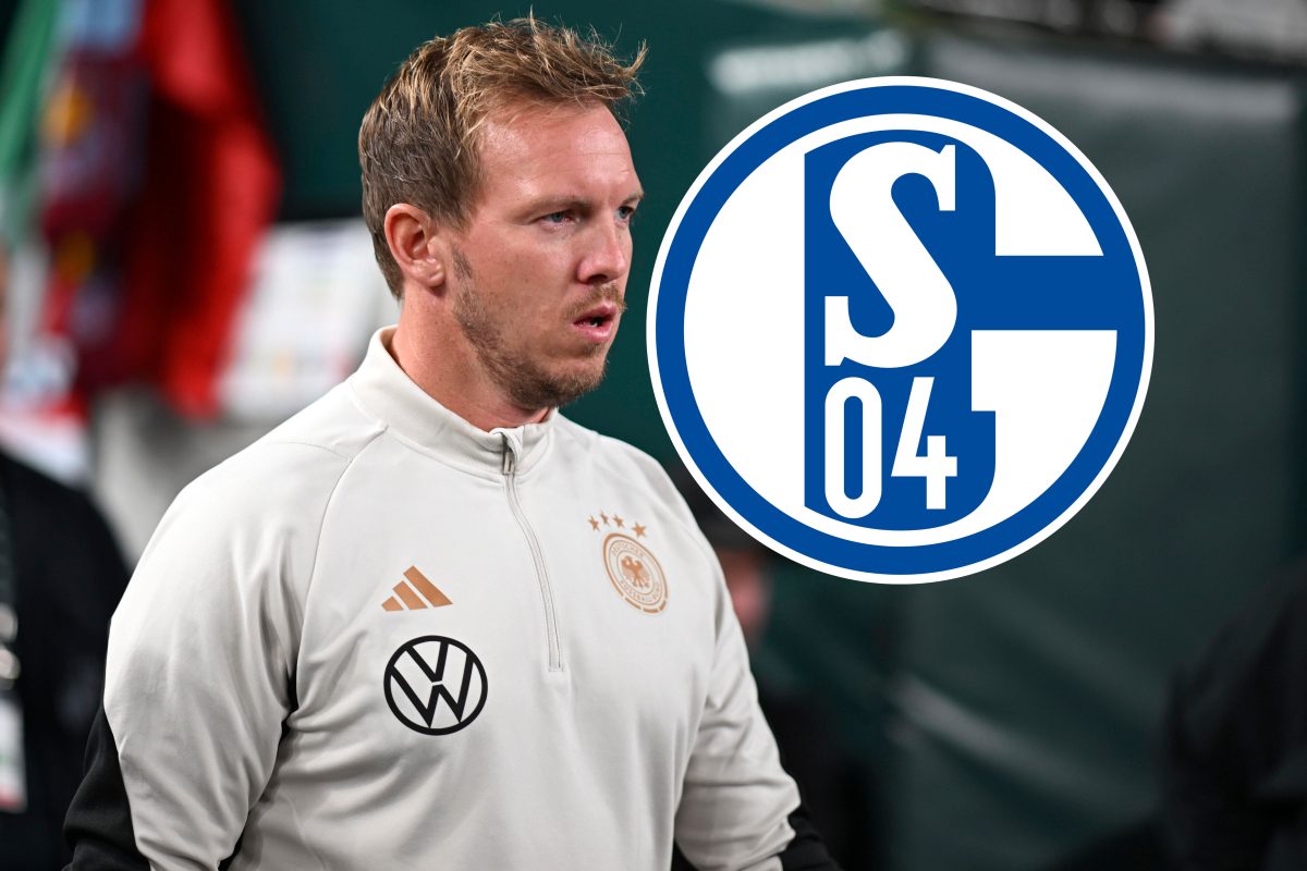 Julian Nagelsmann könnte dem FC Schalke 04 helfen.
