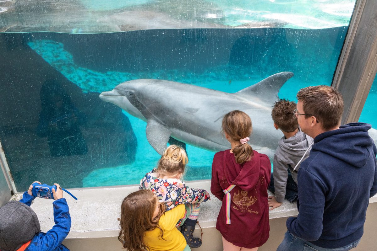 Der Zoo Duisburg hat eine Änderung verkündet.