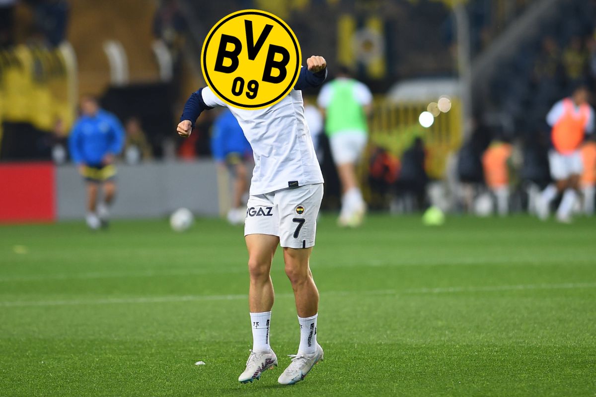 Borussia DOrtmund BVB (1)