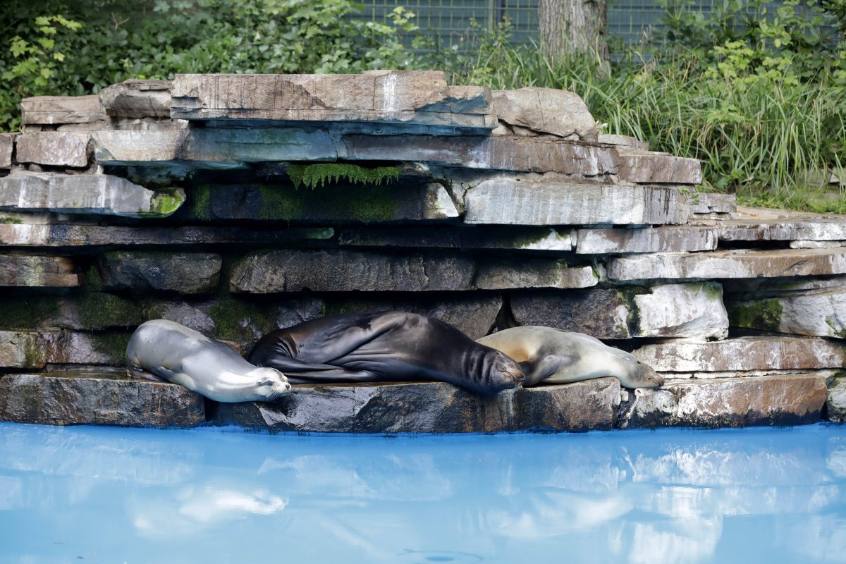 Tierbaby in Gefahr im Dortmunder Zoo