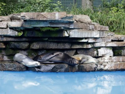 Tierbaby in Gefahr im Dortmunder Zoo