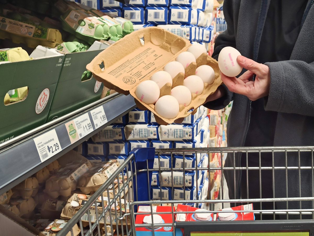 Aldi customer buys eggs: When he opens the package, they explode