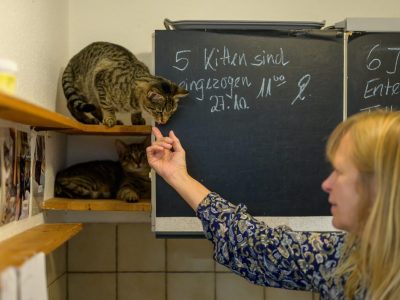 Tierheim aus NRW