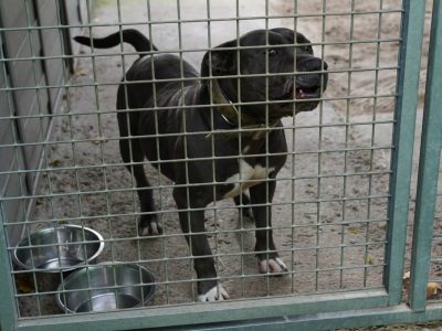 Tierheim NRW: Mitarbeiter sind schockiert, als sie das sehen