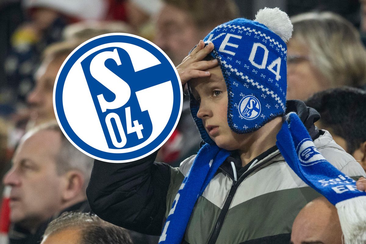 Die Fans des FC Schalke 04 müssen ordentlich leiden.